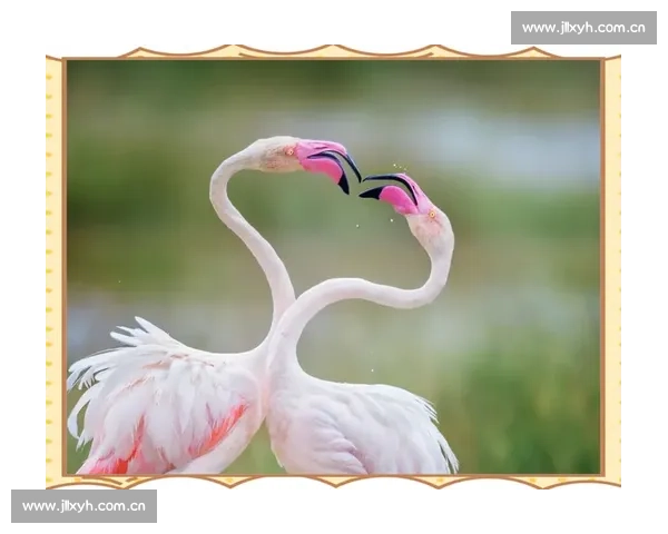 捕捉瞬间,定格美丽2026年度摄影大赛等你来挑战 捕捉瞬间,定格美丽2026年度摄影大赛等你来挑战